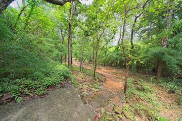 Phu Prabhat Historical Park. he is located between Udon Thani and Nong Khai, in north east thailand. a very nice place to visit if u are around.