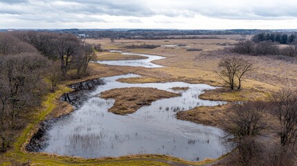 Aerial view of winding marsh, overcast day, rural landscape