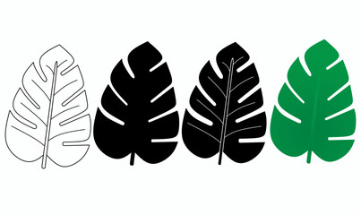 Vector illustration of monstera leaves in outline, solid black, and green styles. Ideal for tropical designs, botanical themes, and nature-inspired graphics