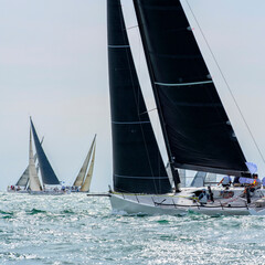 Sailing yachts regatta. Yachting. Sailing race
