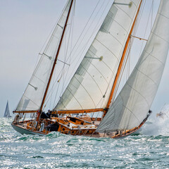 Sailing yachts regatta. Yachting. Sailing race © Alvov