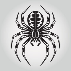 spider