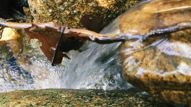 A dry stick and a leaf are lying in a stream stream among the stones