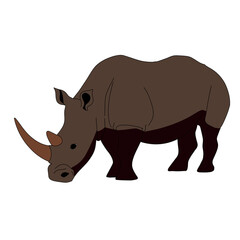 Obraz premium rhino on white background
