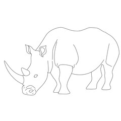 rhino vector illustration