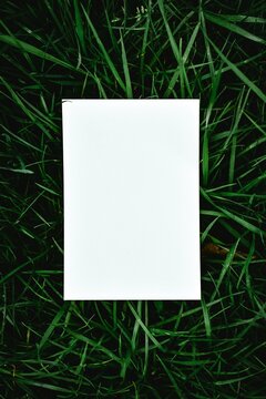 A White Blank Paper on environmental background