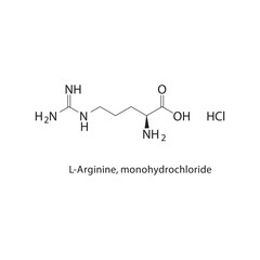 L-Arginine, monohydrochloride skeletal structure.Amino Acid compound schematic illustration. Simple diagram, chemical formula.