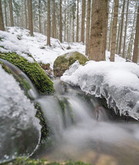 Fototapeta premium Karkonosze - potok