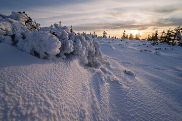 Karkonosze, Zima,  © Adrian Jaśpiński
