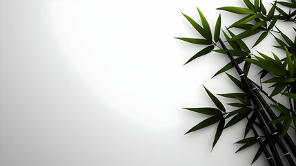 Naklejka premium Vibrant Green Bamboo Leaves and Stalks Against White Backdrop Creating a Serene Natural Pattern