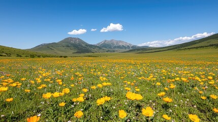 Flowering Meadow Landscape with Mountains