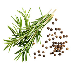 Fresh Rosemary Sprig and Black Peppercorns Culinary Herbs