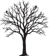 Fototapeta premium Silhouette of Bare and Leafy Trees - Detailed Vector Tree Illustration Set