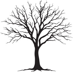 Obraz premium Silhouette of Bare and Leafy Trees - Detailed Vector Tree Illustration Set