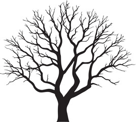 Obraz premium Silhouette of Bare and Leafy Trees - Detailed Vector Tree Illustration Set