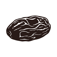 Silhouette vector illustration of a date fruit on a white background