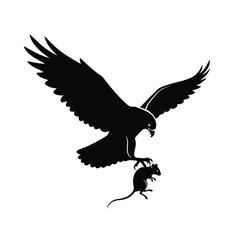 eagle in flight