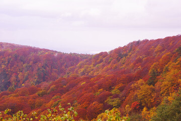 秋の山　日本