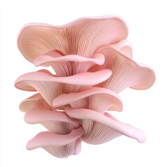 Of Floating pink oyster mushrooms in elegant formation isolated on white