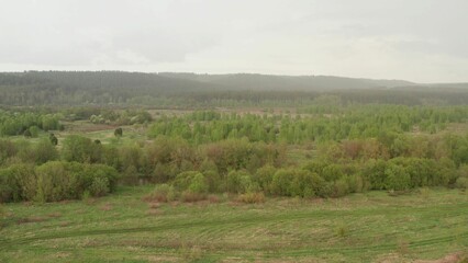 Obraz premium Flying over spring green meadow and forest landscape