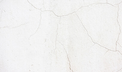 Obraz premium Beautiful Abstract Decorative Background. Art Stylized Black and white effect.