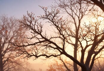 Obraz premium Delicate bare tree branches in the soft morning sun , blue sky, landscape, serene