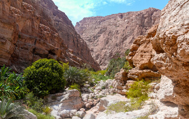 Panoramic view of Wadi Shab canyon in Oman