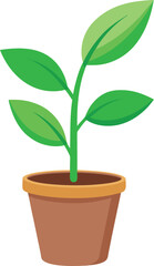young plant vector, vector and illustration, vector style