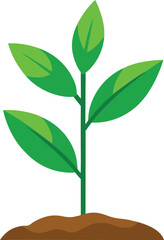 young plant vector, vector and illustration, vector style