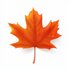 Obraz premium Maple leaf isolated on white