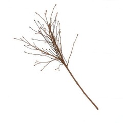 Fototapeta premium Small bundle of dry twigs against a clean white wall, twigs, brown