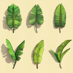 Fototapeta premium Different types of green tropical leaves arranged in a pattern