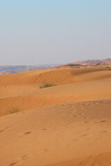 sand dunes in the desert