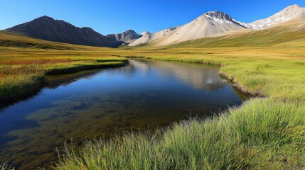 Serene alpine lake reflecting mountains, golden meadow