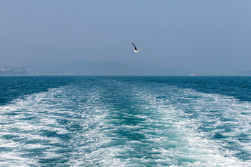 Naklejka premium idyllic seascape on the sailboat with the flying seagulls
