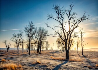 Fototapeta premium Minimalist Charred Trees Desolate Meadow Post-Wildfire Stock Photo