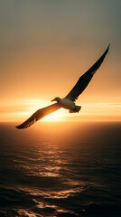 Obraz premium Majestic albatross soaring above the ocean at sunset, capturing nature's beauty and freedom in flight