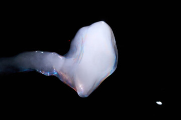 Dense white vapor cloud and bubble against black background, dramatic studio smoke photography with ethereal texture and atmospheric effect