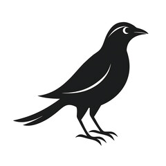 Obraz premium bird silhouette vector illustration on white background silhouette vector illustration, logo type 