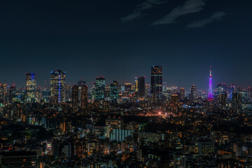 Obraz premium 東京夜景