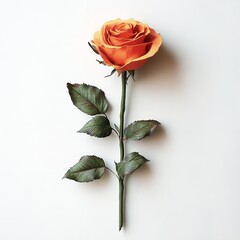 Fototapeta premium A solitary orange rose with deep, warm tones and subtle shadows, captured in soft, diffused light against a muted, neutral background, 