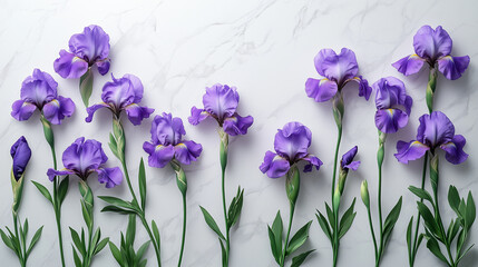 Purple irises arranged beautifully on a marble surface with green leaves during daytime © Vladyslav