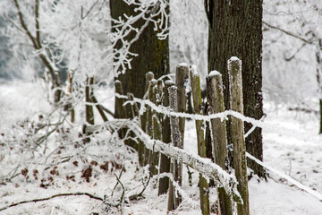 Piękno zimowego krajobrazu, Podlasie, Polska © podlaski49
