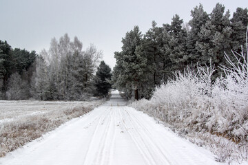 Piękno zimowego krajobrazu, Podlasie, Polska