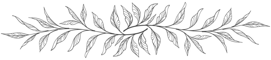 Line art floral botanical on transparent background vector. floral, leaves, foliage, branches in hand drawn. Floral element design