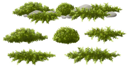 green grass,moss and fern garden, Vertor set of green tree,plants side view for landscape elevations,element for backdrop,eco environment concept design,watercolor greenery scene,shrub