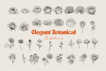 Elegant Botanical Line Art Collection