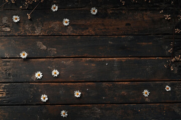 Fototapeta premium Rustic Wooden Background with Scattered Daisies and Dried Flowers