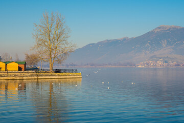 Calm and reflective waters. A flock of birds is flying over the lake, adding to the peaceful atmosphere.