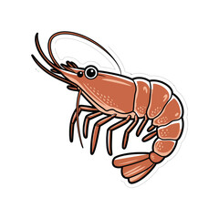 illustration of a shrimp, drawn in a cartoon-like style.